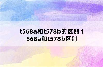 t568a和t578b的区别 t568a和t578b区别